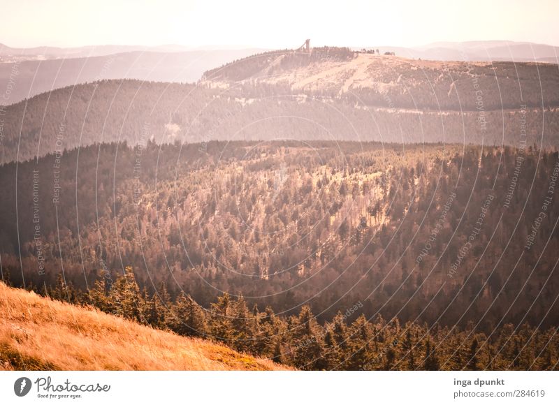 Fernsicht Umwelt Natur Landschaft Pflanze Herbst Gras Wald Hügel Berge u. Gebirge Gipfel Rumänien Siebenbürgen Karpaten Umweltschutz Ferne Aussicht Farbfoto