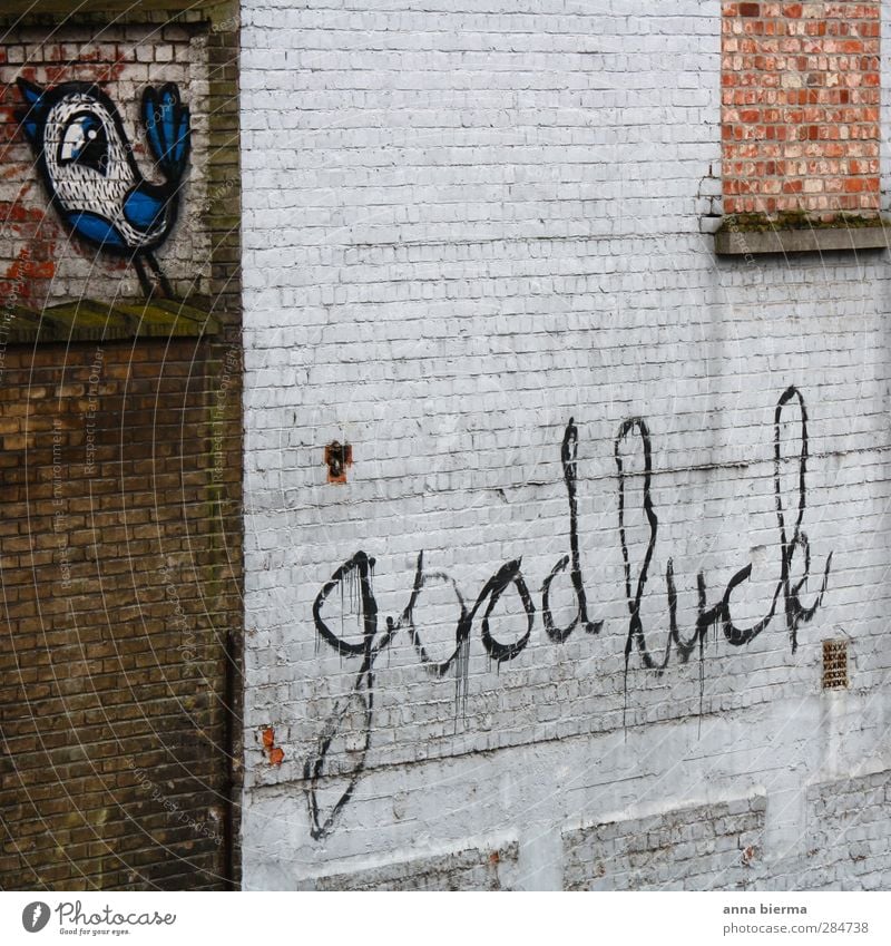good luck Glück Prüfung & Examen Kunst Mauer Wand Vogel Backstein Zeichen Schriftzeichen Graffiti Lächeln trashig Stadt Erfolg Kraft Hoffnung Beginn Inspiration