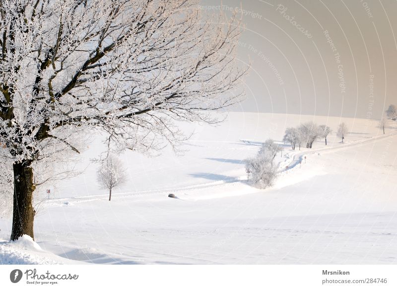 Winterzauber Freizeit & Hobby wandern Natur Landschaft Sonnenaufgang Sonnenuntergang Schönes Wetter Eis Frost Schnee Baum Feld Dorf Stadtrand Menschenleer