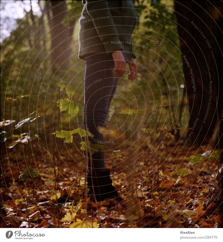 [wald-photo-tour HH] zu gross für das 50mm Junge Frau Jugendliche Hand Beine 1 Mensch 18-30 Jahre Erwachsene Pflanze Baum Sträucher Blatt Wald Park Mantel