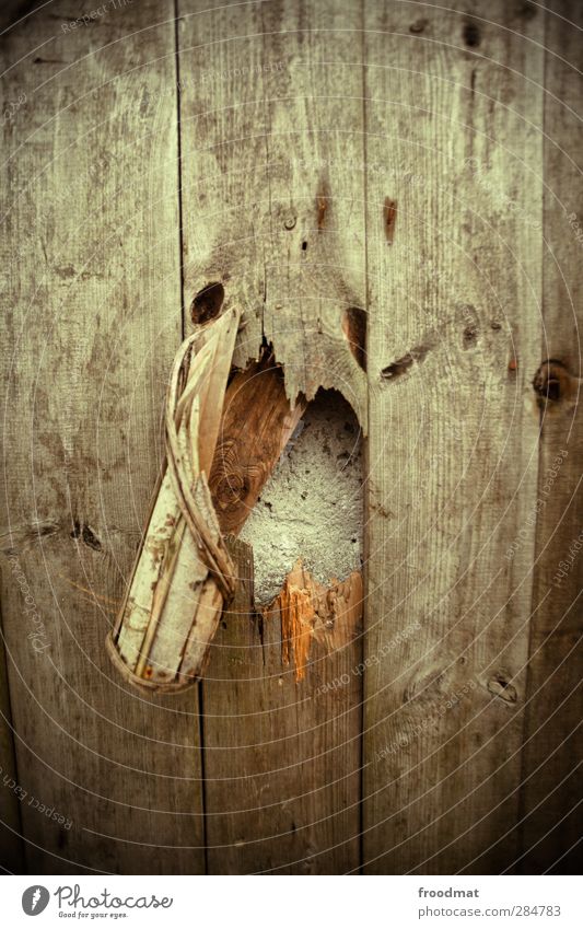 halloween Mauer Wand gruselig hässlich kaputt Verfall Vergangenheit Vergänglichkeit Holzwand Gesicht Strukturen & Formen Holzstruktur Zunge Farbfoto