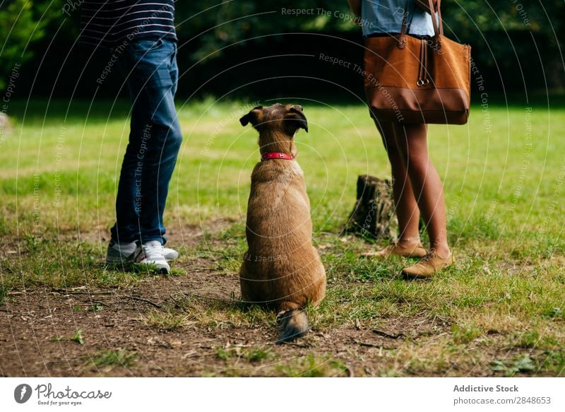 Paar mit Hund draußen Mensch Lebensmittel Park festlich Festspiele Party Erholung Aktion Feste & Feiern Sommer Picknick lecker Haustier Betteln Tier Attraktion