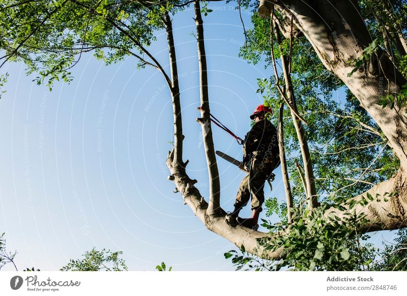 Mann schneidet Bäume im Wald Trimmer Baum professionell Beruf Flugzeugwartung Werkzeug Entfernung Heimwerker Uniform Stutzen Handwerker Gerät Trimmen