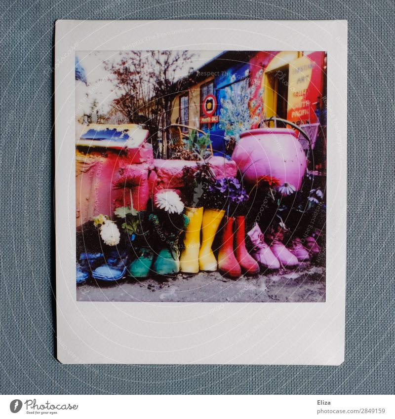 Colorful Christiania Schuhe Stiefel Gummistiefel Kreativität Straßenkunst mehrfarbig Kunst musisch Christianshavn christiania Garten Spielen Polaroid