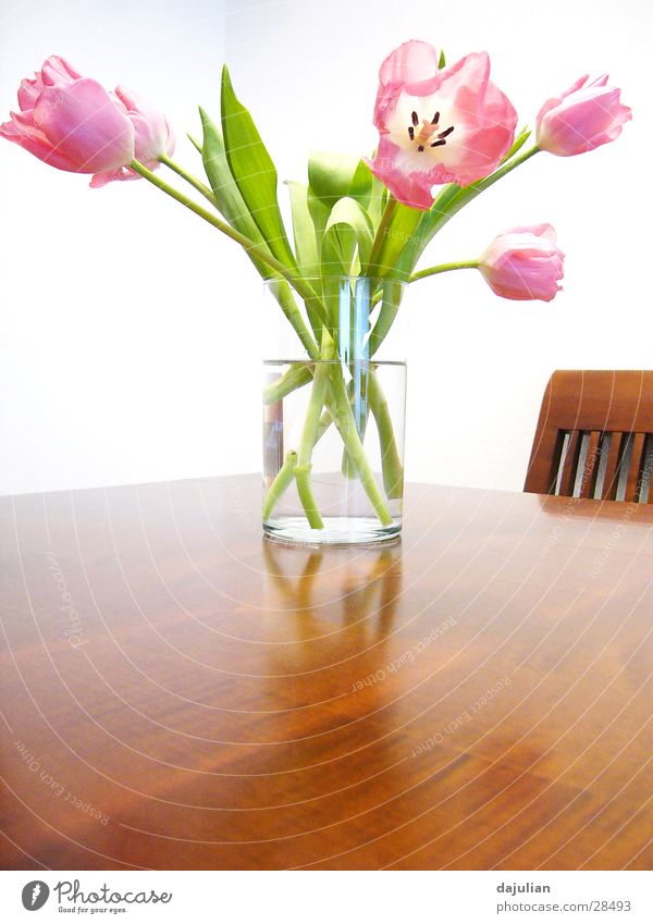 Bright Flowers Blume Tulpe weiß Tisch Holz ikea Innenarchitektur Bank