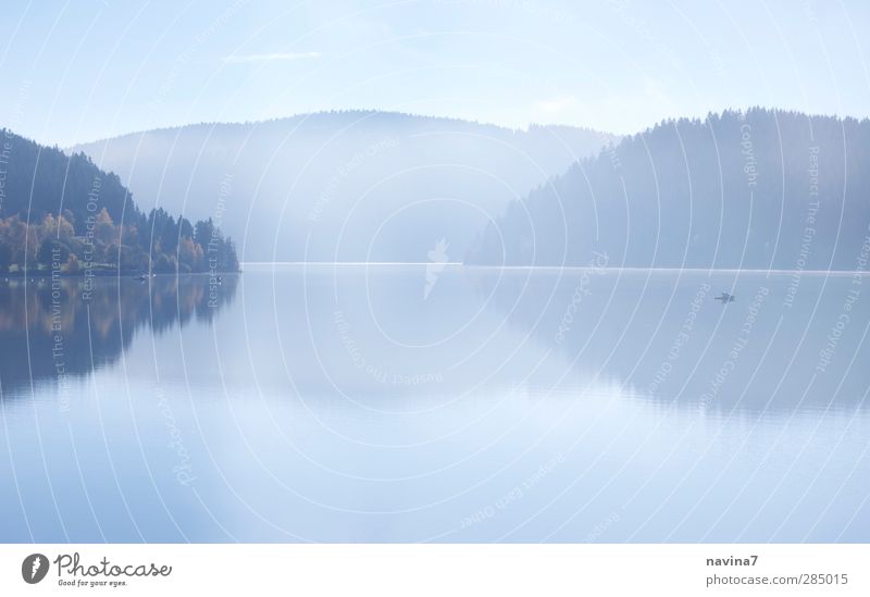 still... Angeln Umwelt Natur Wasser Himmel Herbst Nebel Berge u. Gebirge See Schluchsee Erholung blau Vorsicht ruhig Einsamkeit Ferne Reflexion & Spiegelung