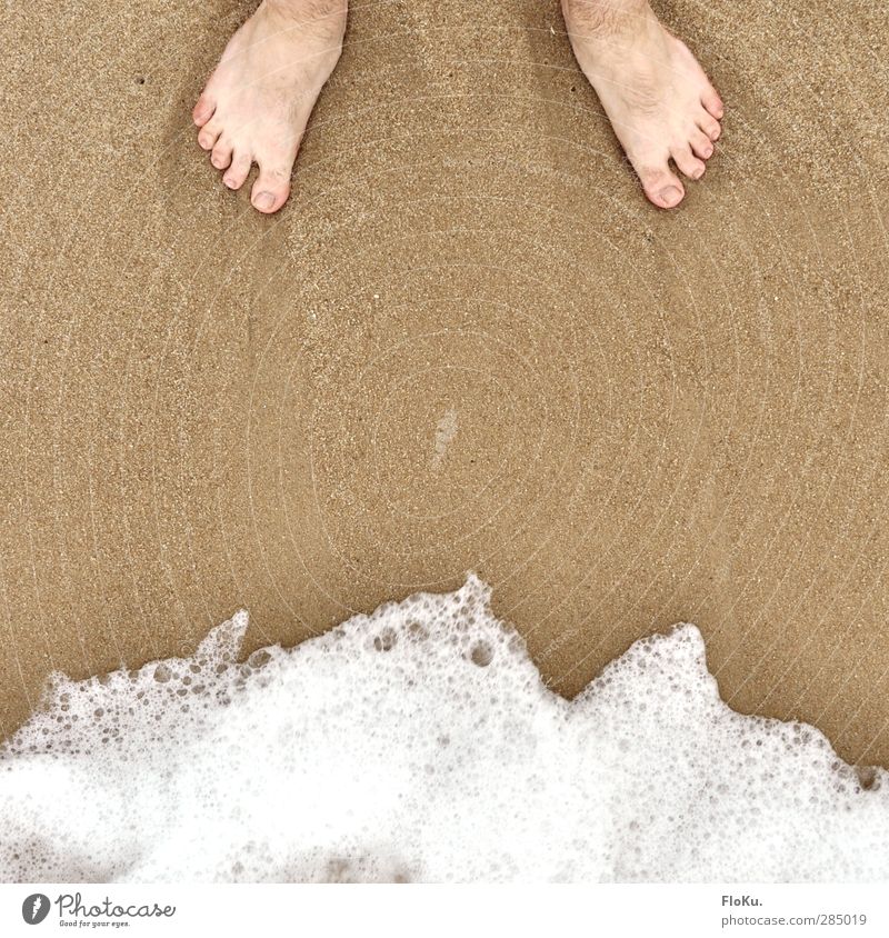 Die Füße und das Meer Ferien & Urlaub & Reisen Tourismus Ausflug Sommer Sommerurlaub Strand Mensch maskulin Fuß 1 Natur Sand Wasser Küste Nordsee stehen warten