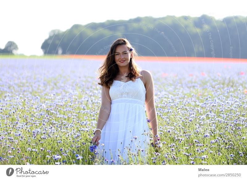 Porträt einer jungen Frau auf einem Kornblumefeld schön blau Mädchen Haare & Frisuren Glück Junge Frau Blumenstrauß Feld Model Natur Frühling Sommer attraktiv