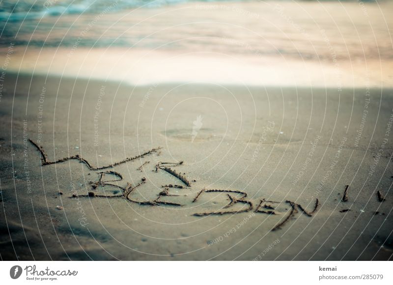 Glücklich | Wir bleiben Ferien & Urlaub & Reisen Tourismus Sommer Sommerurlaub Strand Meer Sandstrand Küste Schriftzeichen Freude Aufenthalt aussagekräftig