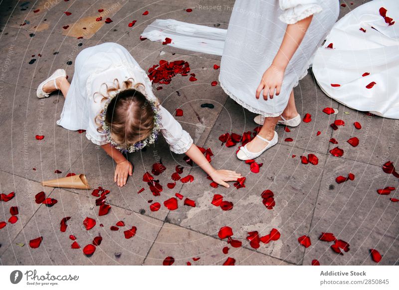 Mädchen entfernen Rosenblätter vom Boden Blütenblatt Hochzeit Etage Feste & Feiern Zeremonie Dekoration & Verzierung Veranstaltung Kind Mensch Frau schön Design