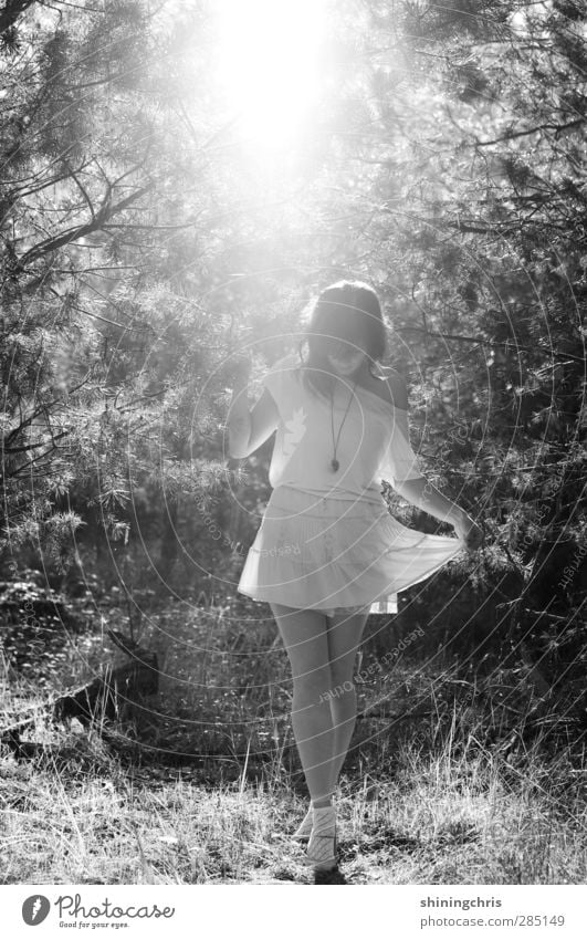traumtanzen feminin Junge Frau Jugendliche 1 Mensch 18-30 Jahre Erwachsene Sonnenlicht Herbst Schönes Wetter Baum Wald T-Shirt Rock Accessoire stehen Tanzen