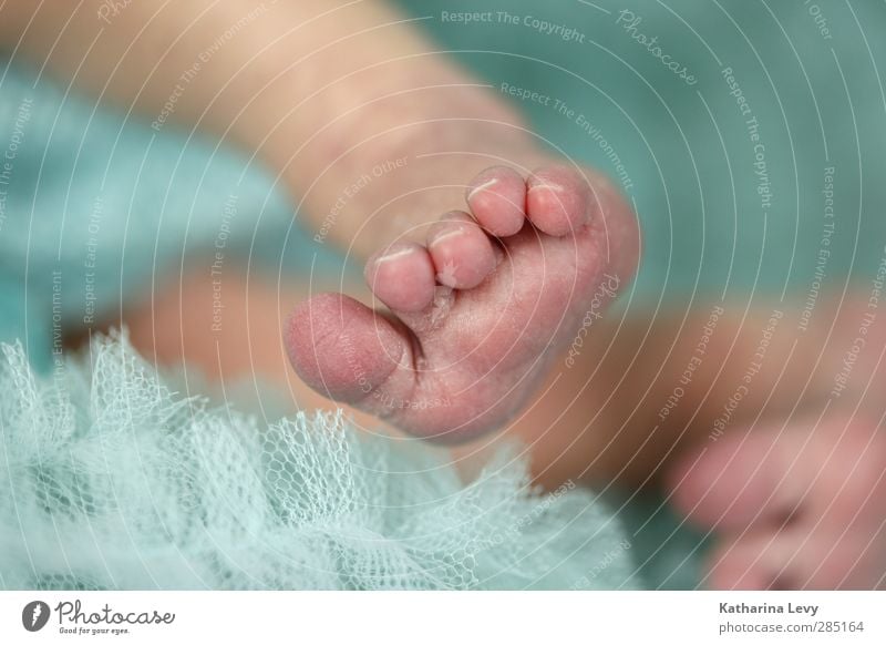 erste Schritte Kinderzimmer Geburtstag Taufe Mensch Baby Kindheit Haut Beine Fuß Zehen Zehennagel 1 0-12 Monate klein niedlich blau rosa Glück Schutz