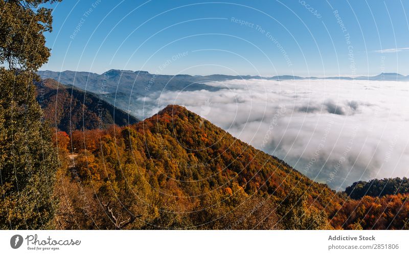 Luftaufnahme eines Tales Fluggerät Wolken Wald Spanien Katalonien osona Bellmunt Berge u. Gebirge blau Himmel Natur Landschaft Höhe Sonne