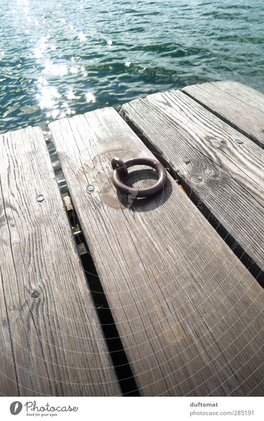 Planken Piercing Landschaft Wasser Schönes Wetter Seeufer Bootsfahrt Holz Metall Schwimmen & Baden Erholung ästhetisch stark grün Kraft Sicherheit ruhig Fernweh