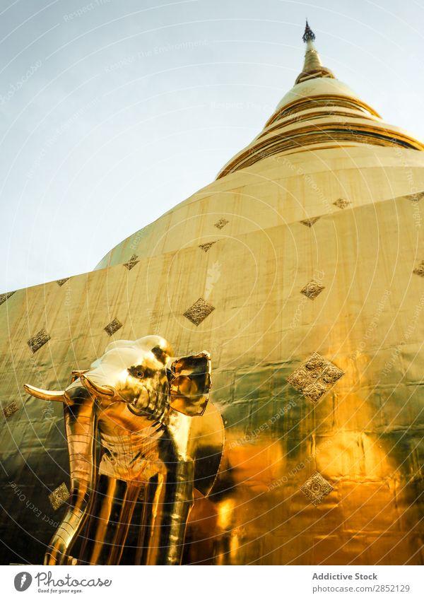 Goldener Elefant in einem traditionellen Gebäude asiatisch Tradition mehrfarbig Tempel gold Asien Architektur Kultur alt Tourismus Ferien & Urlaub & Reisen