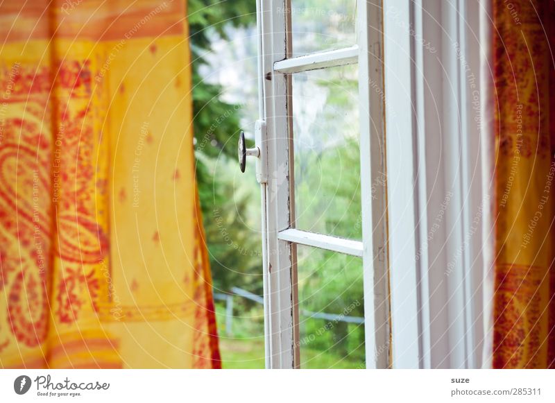 Willkommen und Abschied Umwelt Natur Urelemente Luft Sommer Klima Schönes Wetter Fenster alt authentisch natürlich grün orange Neugier Elbsandsteingebirge
