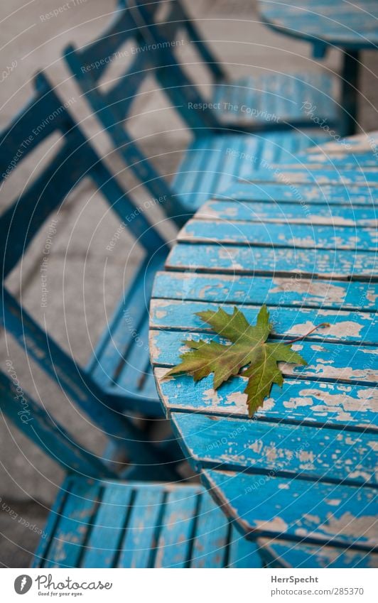 Vergänglichkeit Restaurant Herbst Blatt Stadt Holz alt ästhetisch blau ruhig Einsamkeit Straßencafé Tisch Stuhl abblättern Farbstoff Herbstlaub Herbstbeginn