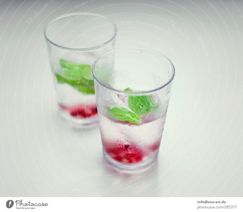 Minz & More Lifestyle Nachtleben Bar Cocktailbar trinken Feste & Feiern Coolness grün rot Glas kalt Getränk Minze Granatapfel frisch Farbfoto Innenaufnahme