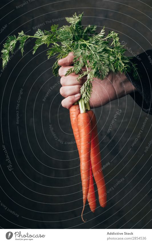 Hand hält einen Haufen frischer Karotten. Hintergrundbild Bündel Möhre mehrfarbig dunkel Lebensmittel Ernte Gesundheit Halt Metall Ernährung Orange organisch