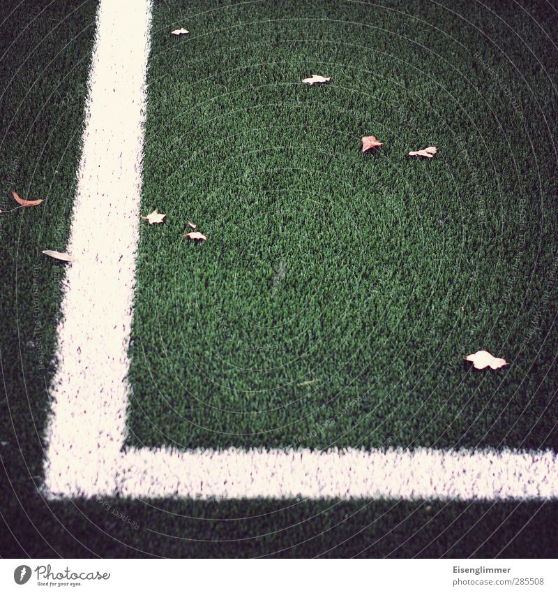 [wpt HH 10.12] Seitenlinie Fußball Fußballplatz Kunstrasen Blatt grün weiß Ordnungsliebe Sport Linie Begrenzung Farbfoto Gedeckte Farben Außenaufnahme