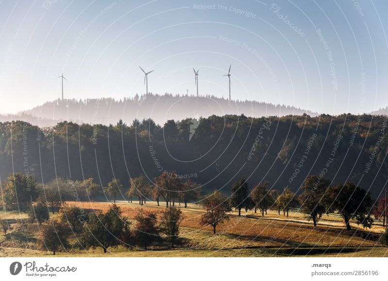 Natur & Technik Energiewirtschaft Erneuerbare Energie Windrad Landschaft Wolkenloser Himmel Herbst Baum Wiese Wald Hügel Stimmung nachhaltig Zukunft Farbfoto