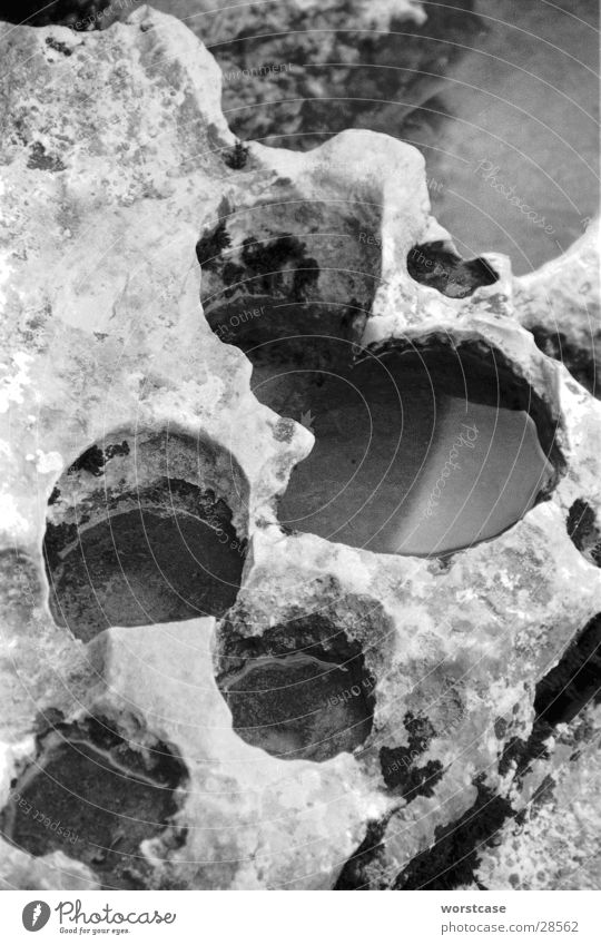 erosionslöcher Kalkstein Erosion abstrakt Wasser Schwarzweißfoto Nahaufnahme