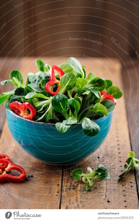 Salat Gemüse Salatbeilage Feldsalat Paprika Ernährung Bioprodukte Vegetarische Ernährung Diät Schalen & Schüsseln Lifestyle Gesundheit Gesundheitswesen