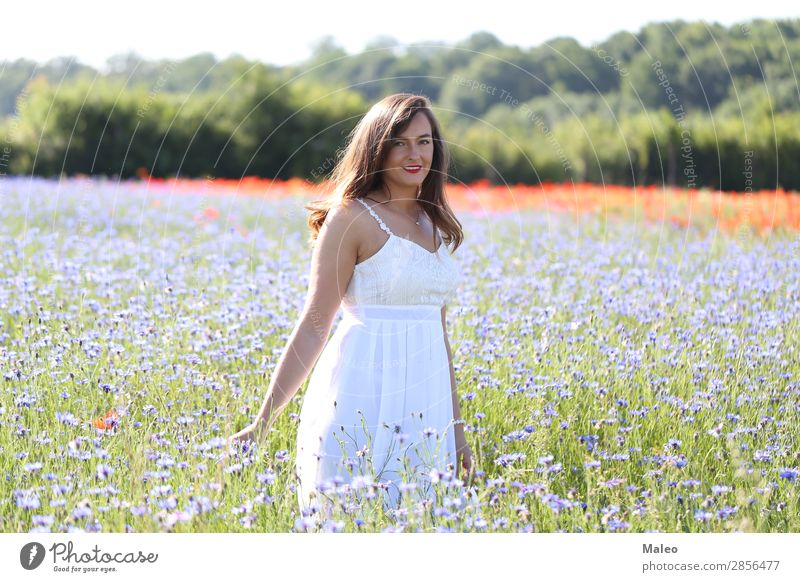 Porträt einer jungen Frau auf einem Kornblumefeld schön blau Mädchen Haare & Frisuren Glück Lifestyle Natur Junge Frau Feld Model Frühling Sommer attraktiv