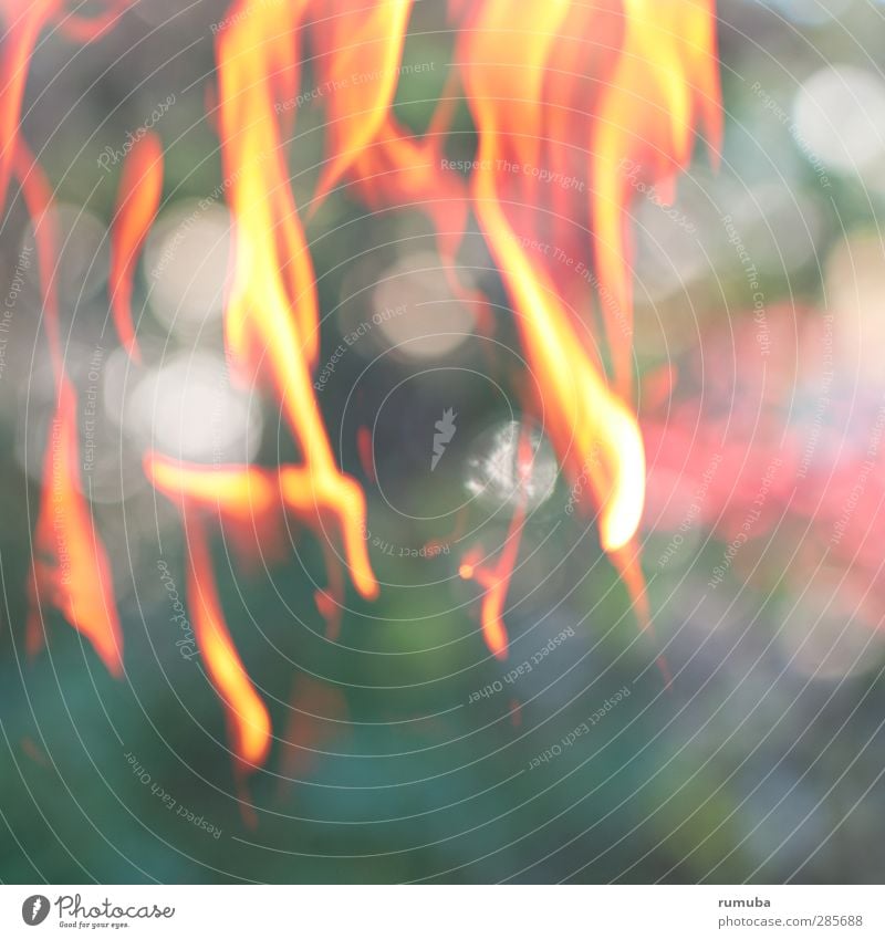 Die Hecke brennt Feuer Wärme bizarr zündeln Flamme Licht Lichterscheinung Doppelbelichtung Experiment abstrakt Farbfoto Menschenleer Reflexion & Spiegelung