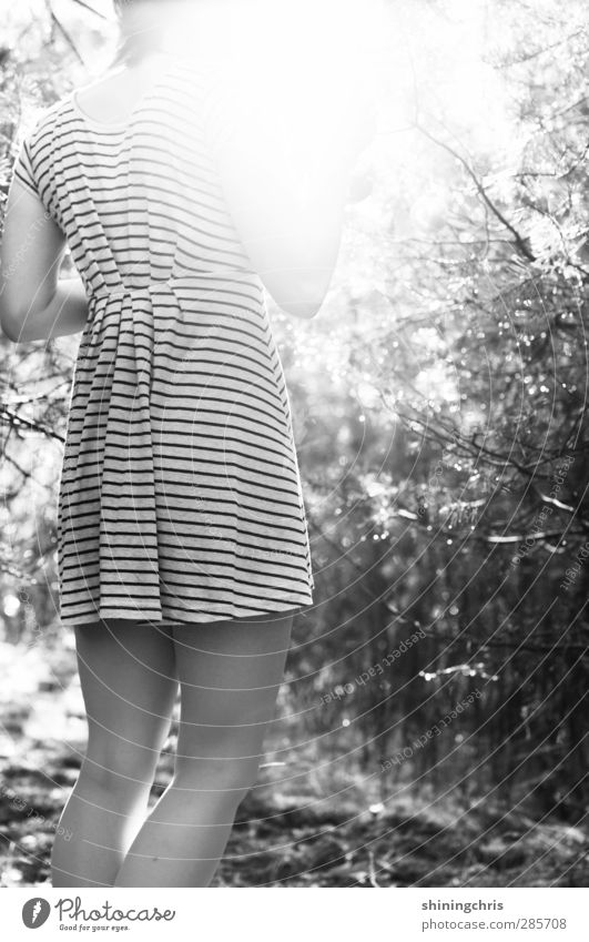 lightscapes | feminin Junge Frau Jugendliche Frauenbein 1 Mensch 18-30 Jahre Erwachsene Herbst Schönes Wetter Baum Wald Mode Kleid stehen träumen Kreativität