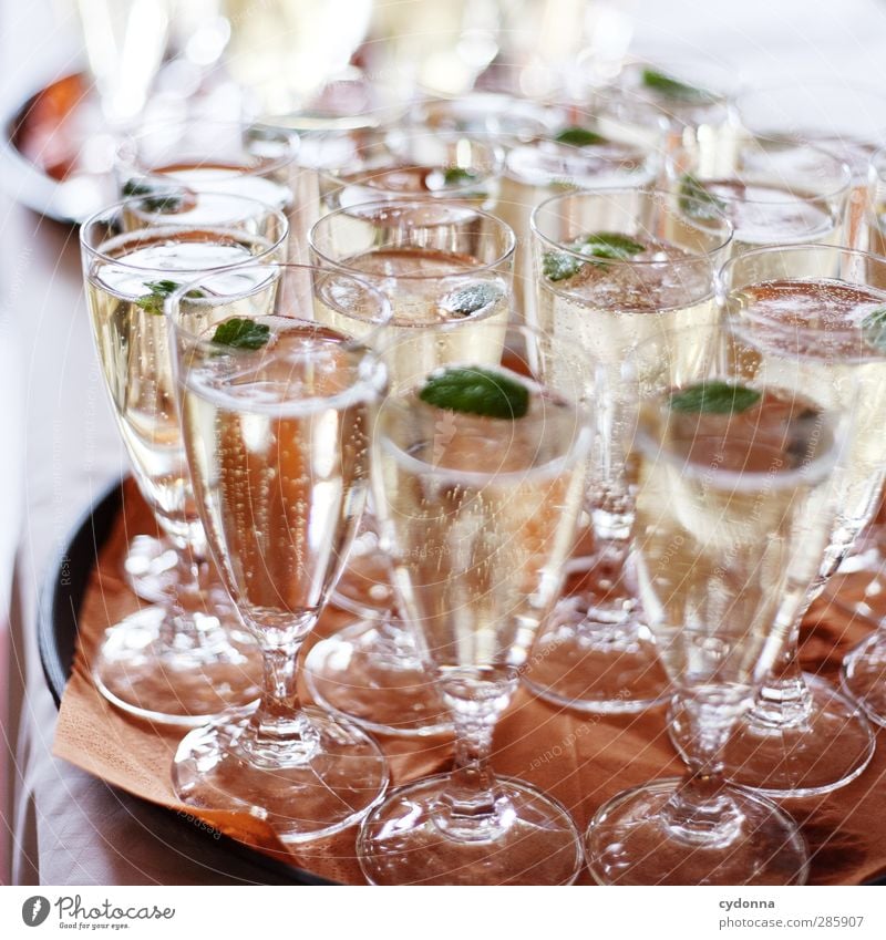 Sekt für alle! Getränk Alkohol Prosecco Sektglas Lifestyle Reichtum Party Veranstaltung Feste & Feiern Hochzeit erleben Erwartung Freude Glück Leben