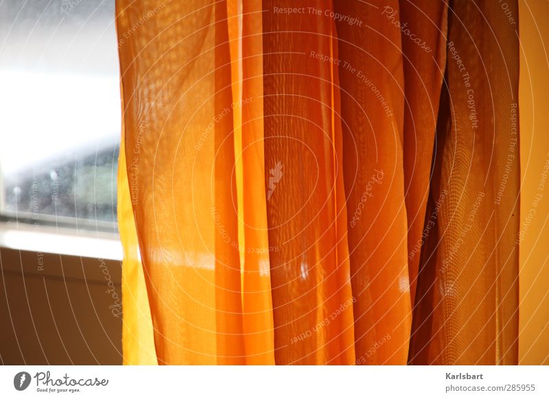 Orangenhaut. Lifestyle Häusliches Leben Wohnung Innenarchitektur Dekoration & Verzierung Raum Mauer Wand Fenster Linie Streifen Netz orange Warmherzigkeit ruhig