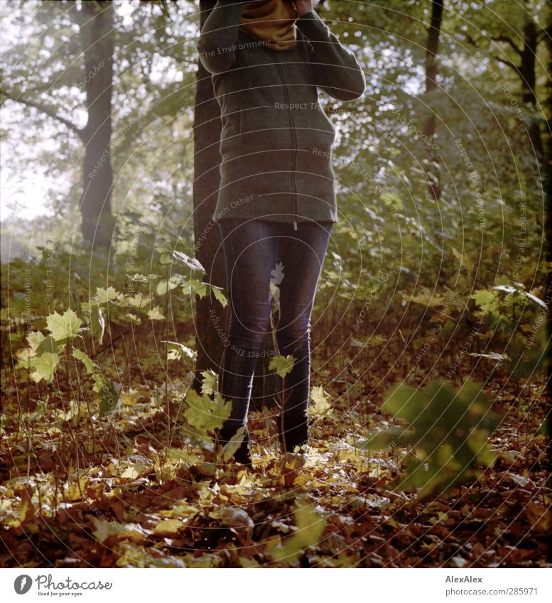 [wald-photo-tour HH] Waldwichtelin M. Ausflug Abenteuer wandern Junge Frau Jugendliche Beine 18-30 Jahre Erwachsene Herbst Baum Sträucher Blatt Park
