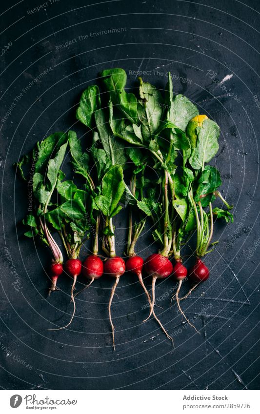 Radieschen auf dunklem Hintergrund Vor dunklem Hintergrund ökologisch Lebensmittel frisch grün Ernte Gesundheit Zutaten Blatt organisch rot Gemüse