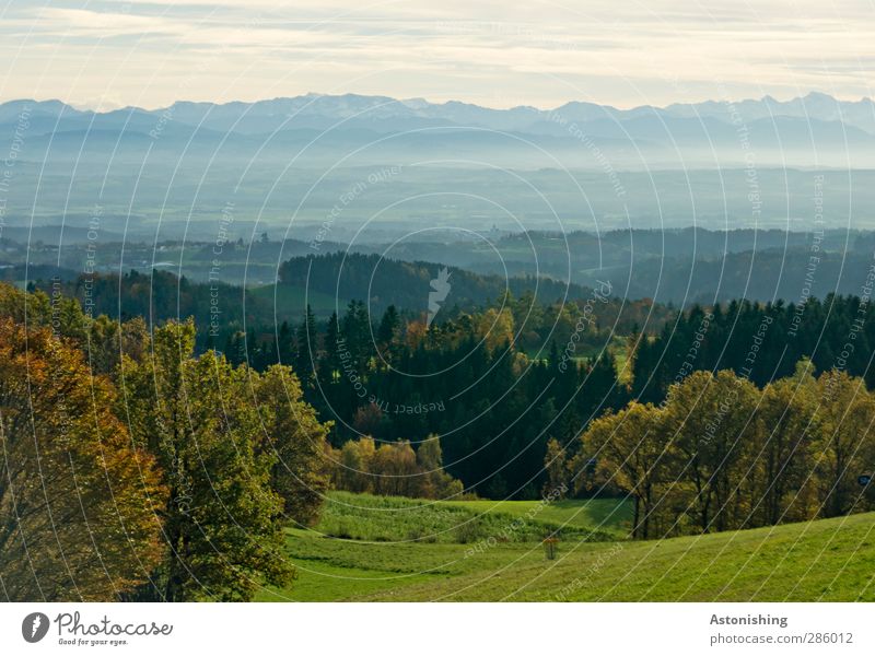 bis zu den Alpen Umwelt Natur Landschaft Pflanze Luft Himmel Wolken Horizont Herbst Wetter Schönes Wetter Baum Gras Sträucher Grünpflanze Wiese Feld Wald Hügel