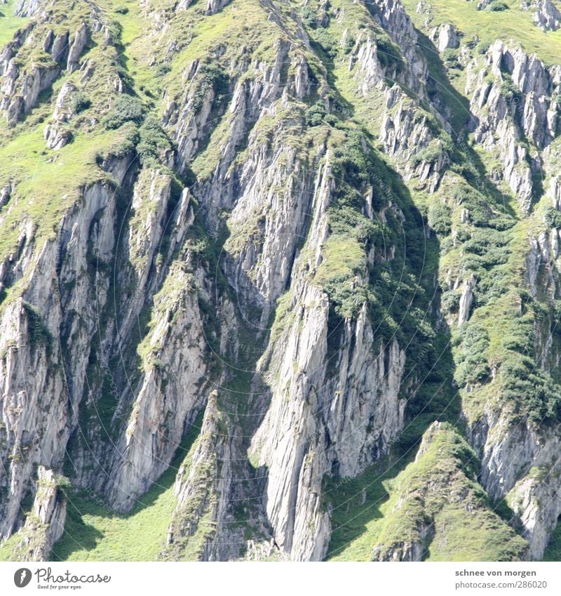 massiv Umwelt Natur Landschaft Pflanze Tier Urelemente Erde Sonne Schönes Wetter Grünpflanze Nutzpflanze Grasland gras Hügel Felsen Alpen Berge u. Gebirge