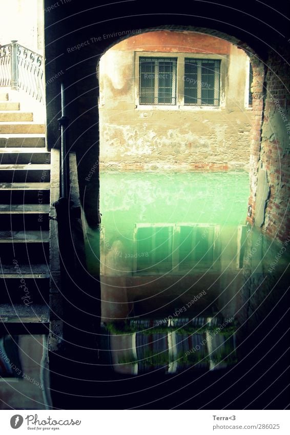 HOCHWASSER# acqua alta! Umwelt Natur Wasser Klima Flussufer Canal Grande Kanal Bach Venedig Brücke Tunnel Bauwerk Mauer Wand Fenster Sehenswürdigkeit Hochwasser