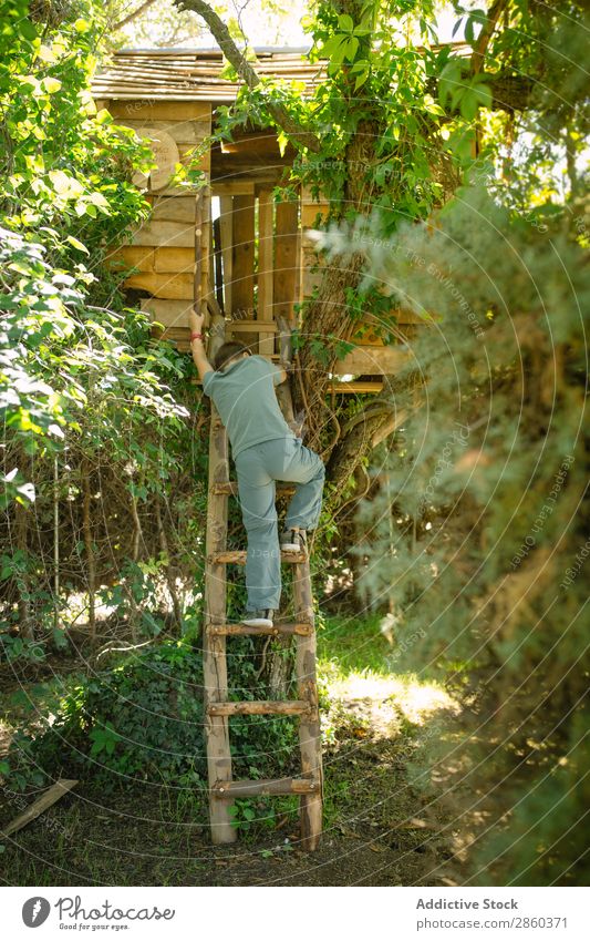 Blonder Junge klettert auf eine Leiter in einem Baumhaus. Abenteuer Architektur Gebäude Kindheit Klettern Konstruktion Landschaft Wald grün gebastelt Haus