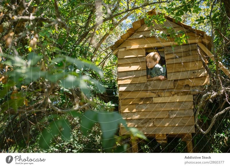 Blonder Junge spielt in einem hölzernen Baumhaus. Abenteuer Architektur Gebäude Kindheit Klettern Konstruktion Landschaft Wald grün gebastelt Haus Verstand
