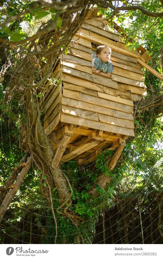 Blonder Junge spielt in einem hölzernen Baumhaus. Abenteuer Architektur Gebäude Kindheit Klettern Konstruktion Landschaft Wald grün gebastelt Haus Verstand