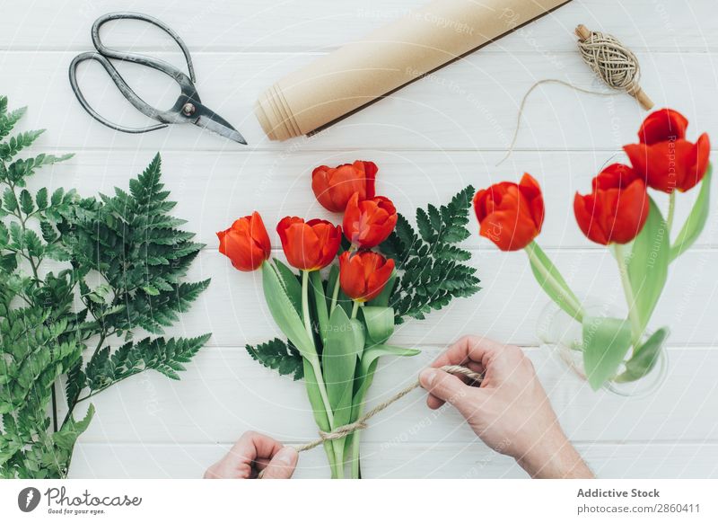 Hände bereiten ein Arrangement für rote Tulpen vor. Ordnung Blume Blumenstrauß Haufen geblümt Blumenhändler Liebe natürlich Blütenblatt Geschenk Romantik