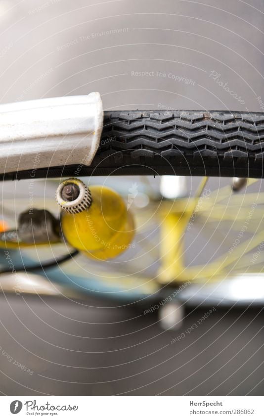 Frisch gestrichen 3 Straßenverkehr Fahrrad Metall grau selbstgemacht Vorderreifen Fahrradfahren Fahrradausstattung Dynamo Nabe Schutzblech Speichen Farbstoff