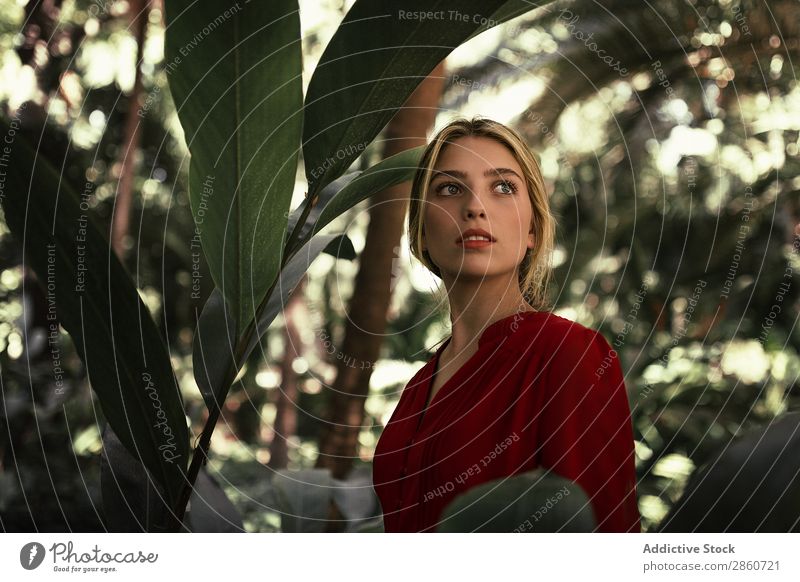 Schöne blonde Frau in einem üppigen Wald. Model Kleid grün üppig (Wuchs) Blatt exotisch magisch Menschliches Gesicht Urwald natürlich Haare & Frisuren rot
