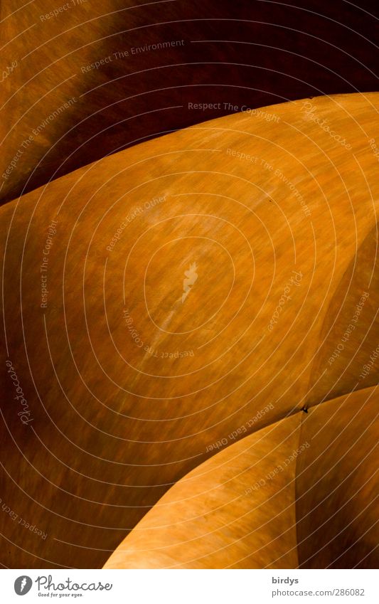 Wege des Lichts Architektur Gewölbe Gewölbebogen ästhetisch außergewöhnlich elegant fantastisch rund schön gelb orange Design Farbe Kreativität Geometrie
