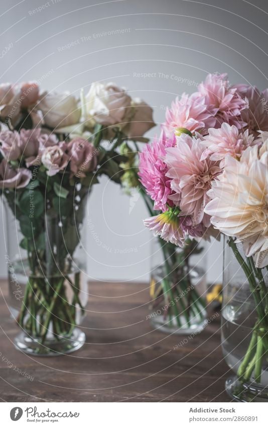 Blumensträuße in Vasen auf dem Tisch Haufen Küchengeräte Blumenstrauß Wasser Wand weiß Holz Grunge Glas frisch retro Pflanze Innenarchitektur Blütenknospen