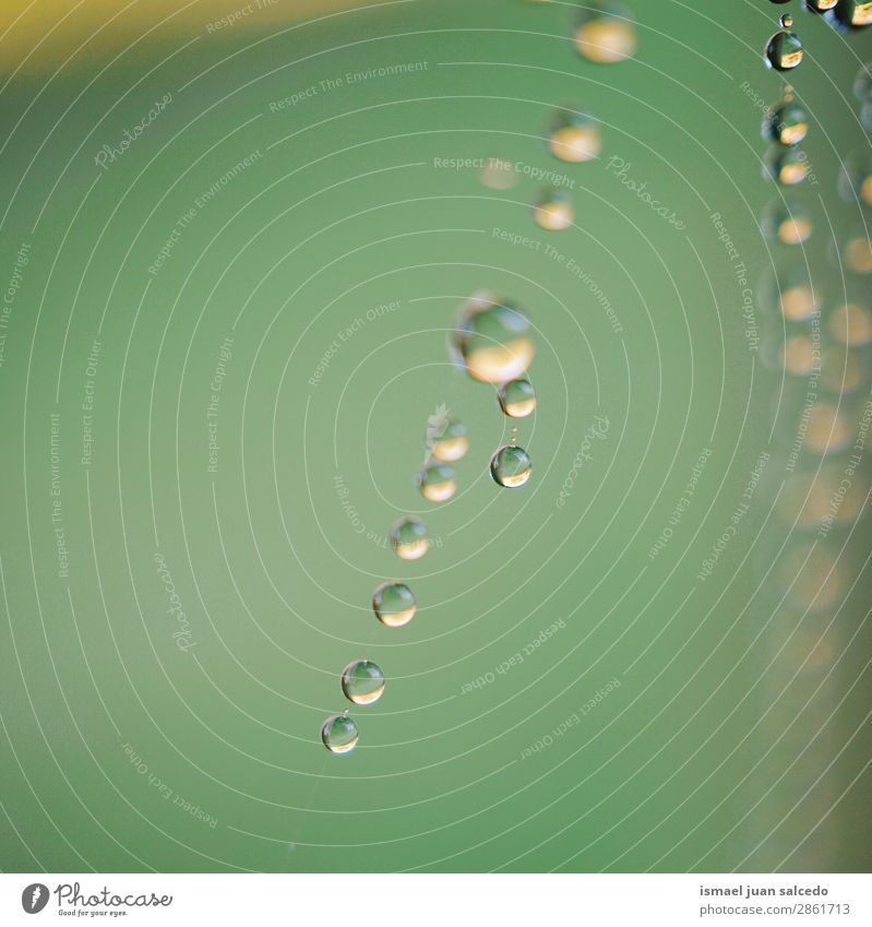 Tropfen auf das Spinnennetz Internet Tennisnetz Natur Regen hell glänzend Außenaufnahme abstrakt Konsistenz Hintergrund Wasser sehr wenige grün