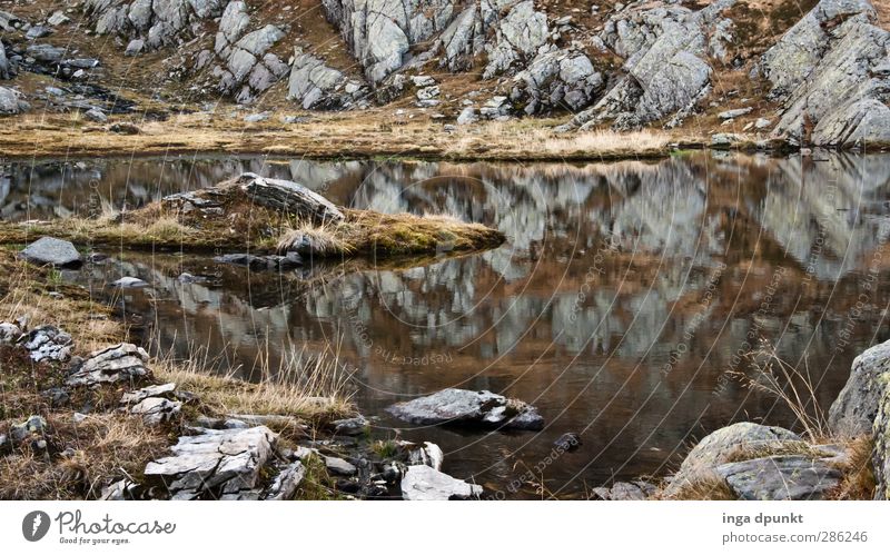 Schwarzer See Umwelt Natur Landschaft Pflanze Urelemente Wasser Gras Moos Wildpflanze Felsen Berge u. Gebirge Gebirgssee Rumänien Karpaten Siebenbürgen