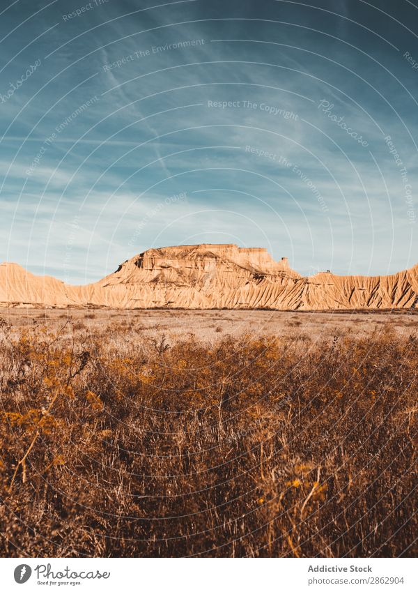 Malerische sandige Klippen im Sonnenlicht Sandstein Landschaft malerisch regenarm Schlucht Natur Felsen Sommer Blauer Himmel Abenteuer Panorama (Bildformat)