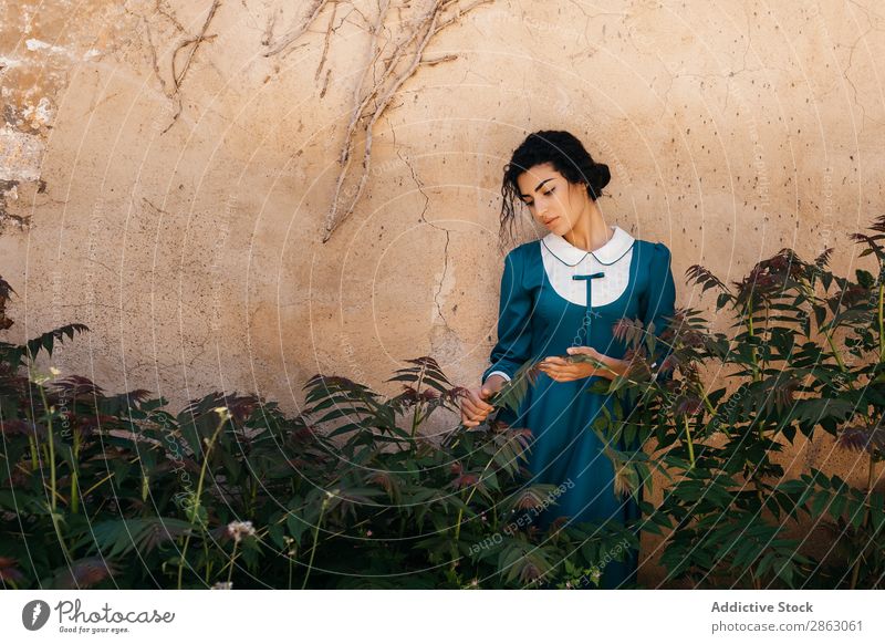 Attraktive arabische Frau im Kleid zwischen den Pflanzen an der Wand attraktiv Marokkaner Stein schön alt blau brünett grün Jugendliche Dame Mode Lifestyle