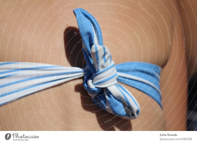 entzücken feminin Frau Erwachsene Rücken 1 Mensch 18-30 Jahre Jugendliche ästhetisch Bikini bandeau Knoten Schleife blau-weiß gestreift Farbfoto Außenaufnahme